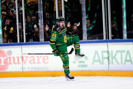 Három évre szerződött Fehérvárra Sebők Balázs válogatott jégkorongozó